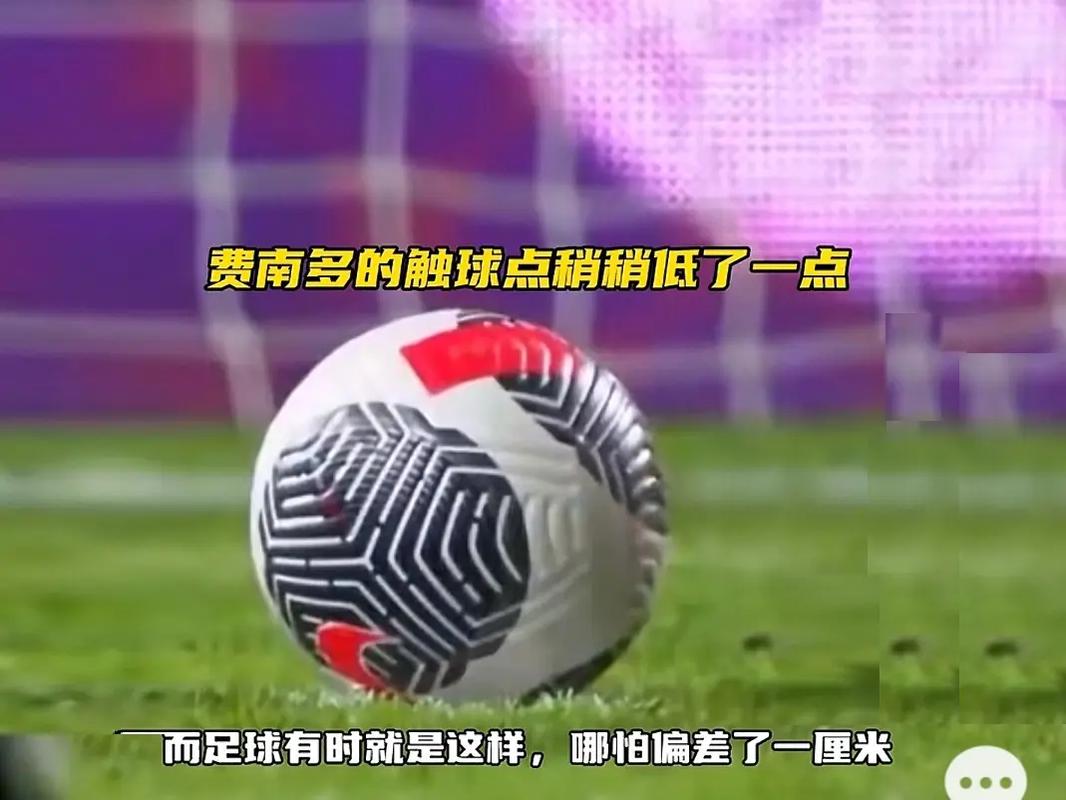 了全球体育